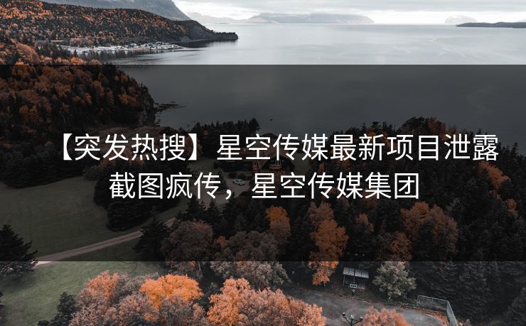 【突发热搜】星空传媒最新项目泄露截图疯传，星空传媒集团