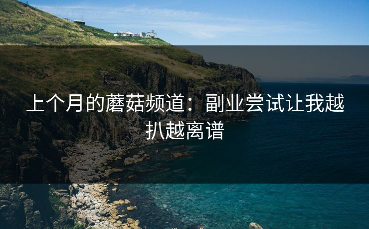 上个月的蘑菇频道：副业尝试让我越扒越离谱